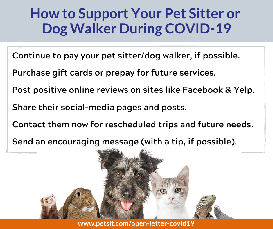 An Open Letter To Pet Owners During The Covid 19 Crisis