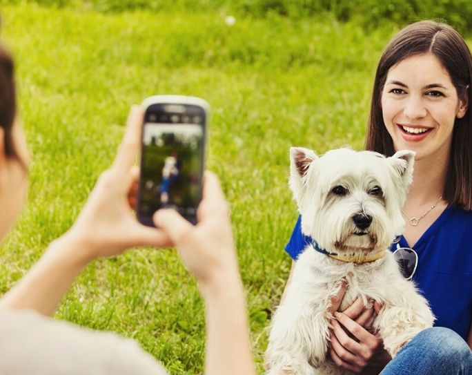 Using Facebook Live for Your Pet-Care Business