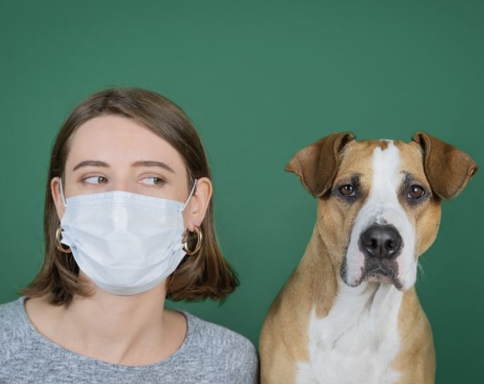 Coronavirus Covid 19 Pet Sitters International