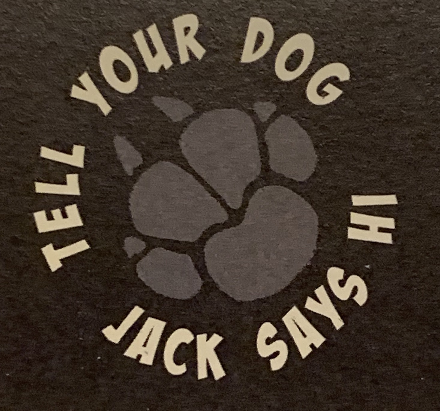 Good Dog Sitter Jack, LLC