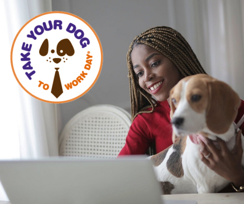 2020 Take Your Dog To Work Day Pet Sitters International