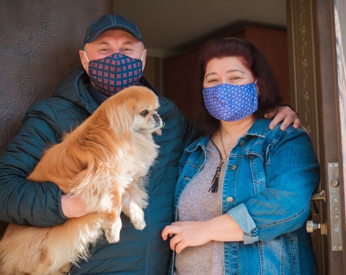 Getting Dogs Comfortable with Face Masks