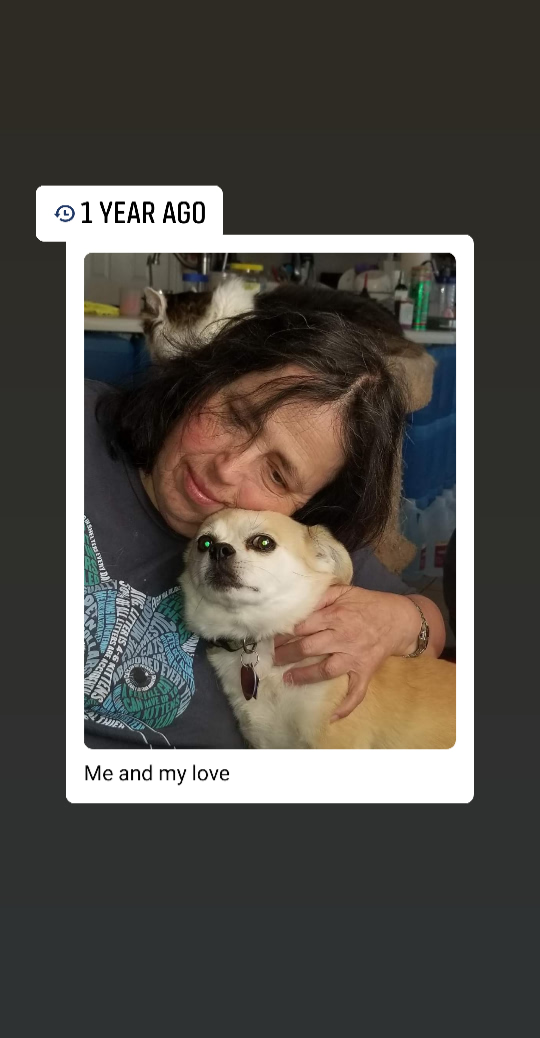 To Fur With Love