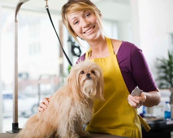 Pet sitter grooming a dog