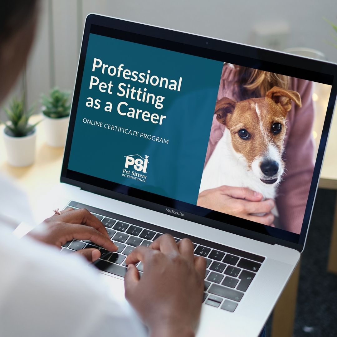 Professional Pet Sitting as a Career course