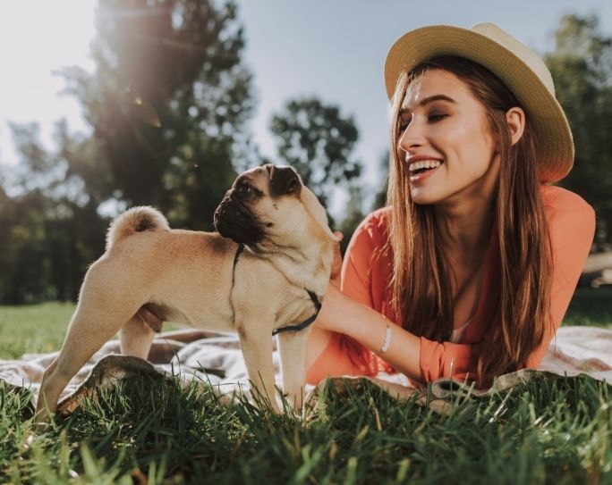 3 ways pet sitters can finish 2020 strong