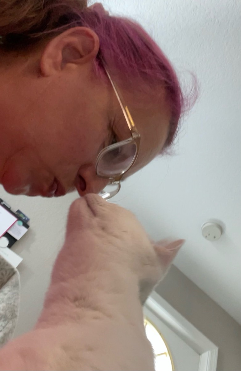  14
