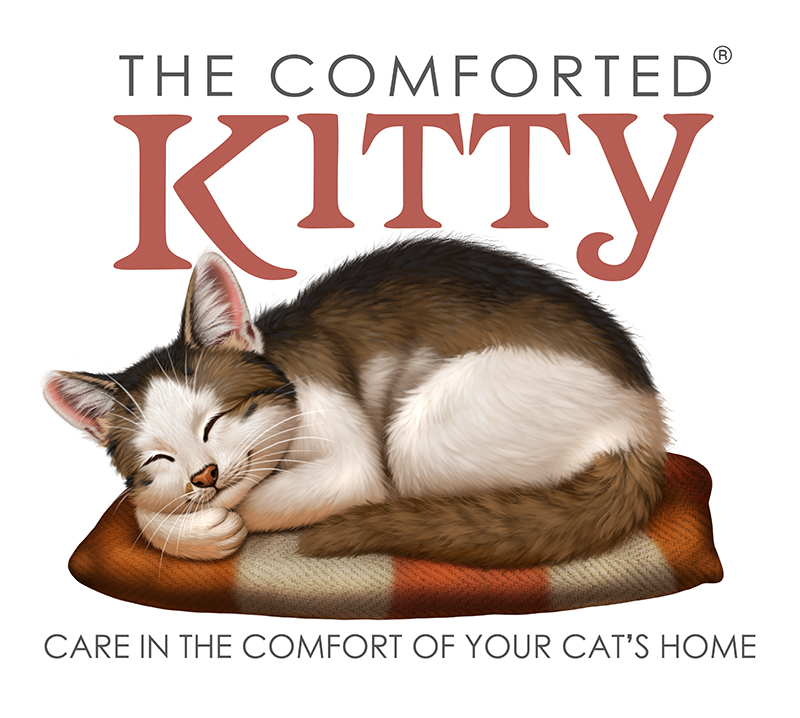 The Comforted Kitty
