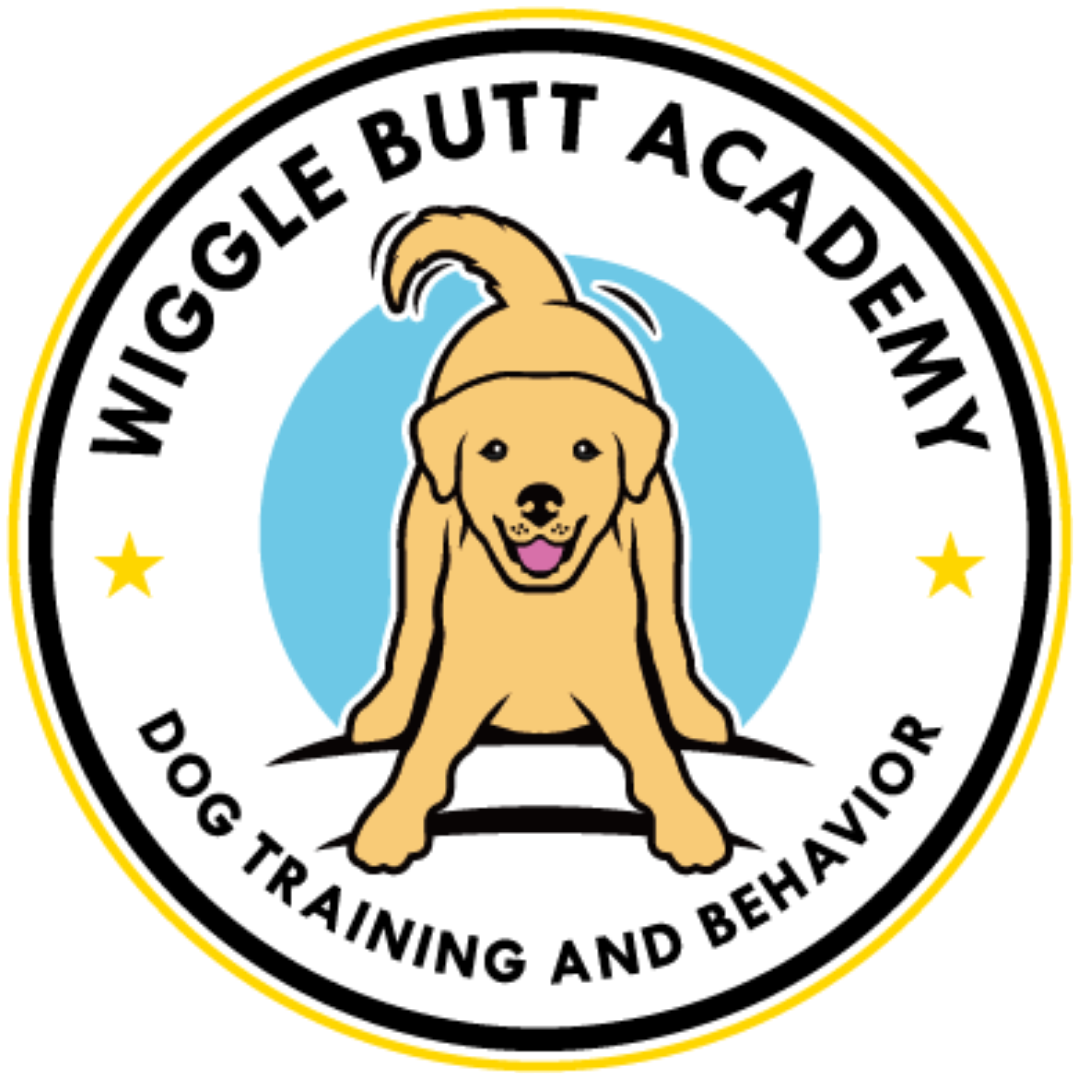 Wiggle Butt Academy