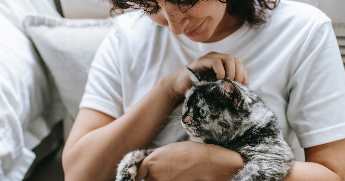 Pet sitters gearing up for increased demand this spring