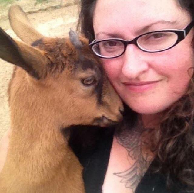 The Traveling Petsitter LLC