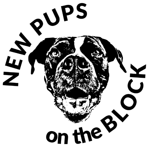 New Pups On The Block