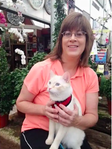 Anne Ross, The Cat Concierge