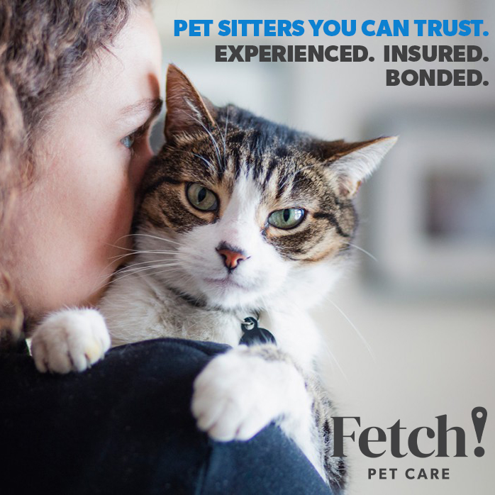 Fetch! Pet Care of Loveland