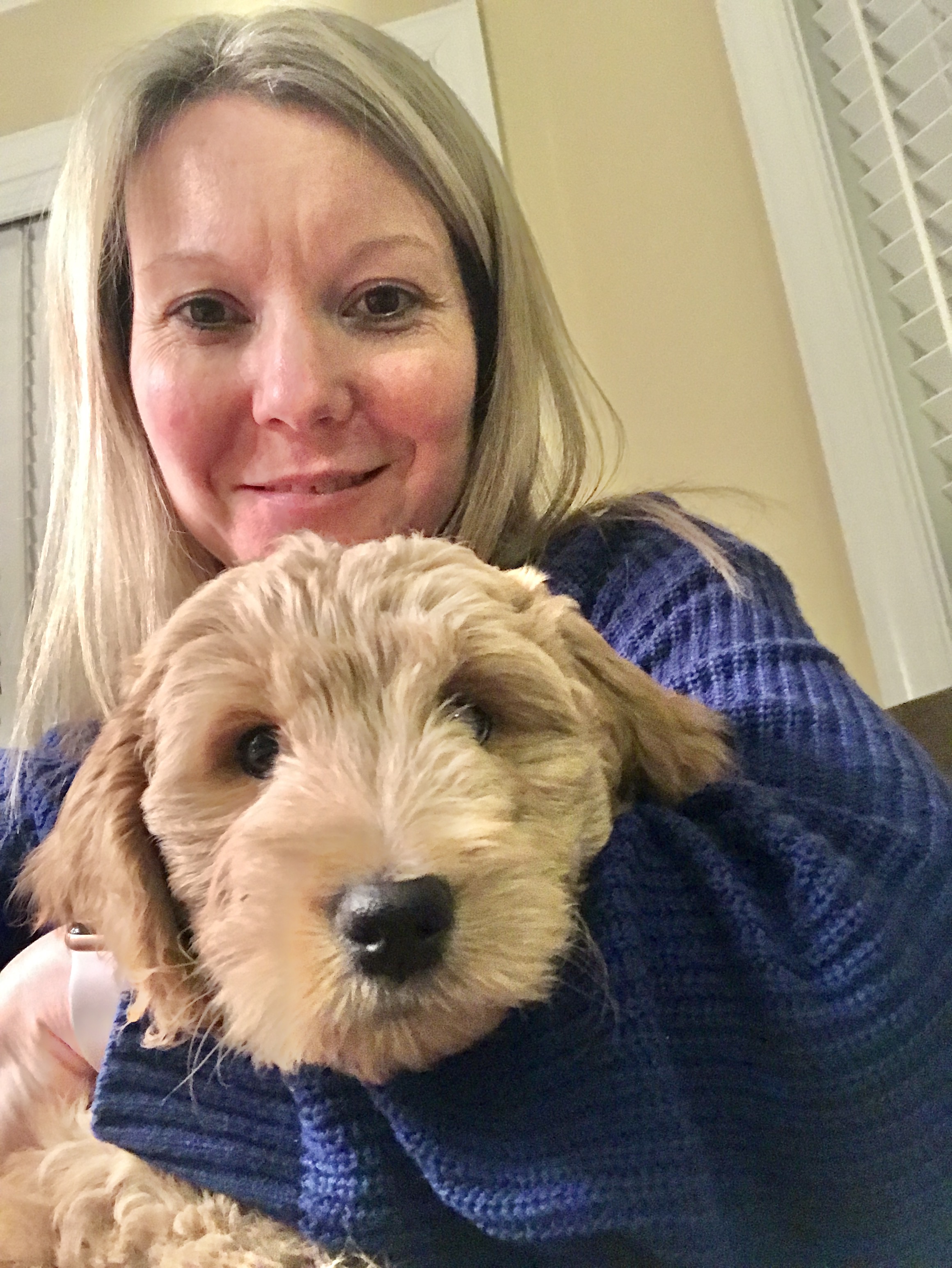 Safe At Home Pet Sitting & Home Care, LLC
