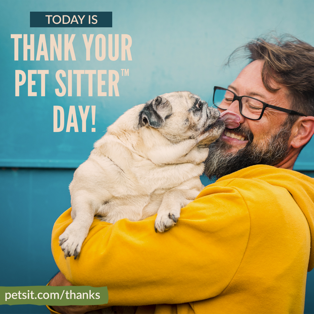 How Much Should You Pay A Dog Sitter For A Week