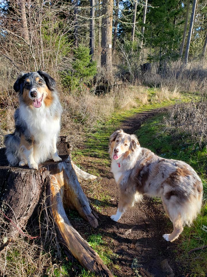 FIN2FARM PET SITTING LLC