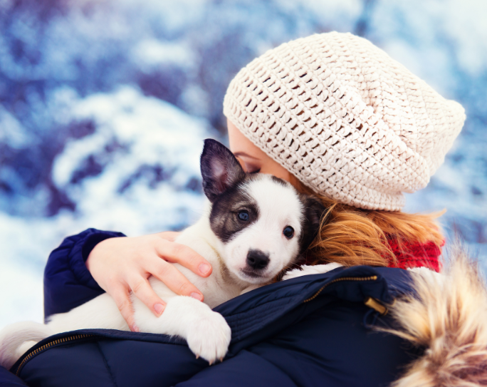 Holiday pet cheap care service