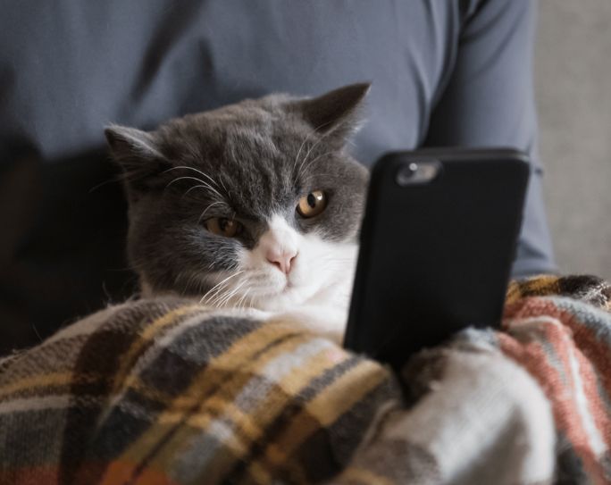 pet sitter with cat social media marketing