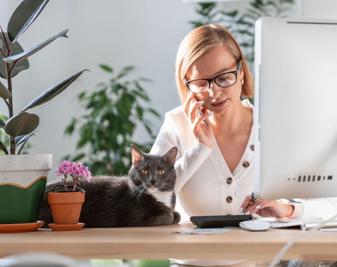 Pet sitter with cat doing social media marketing