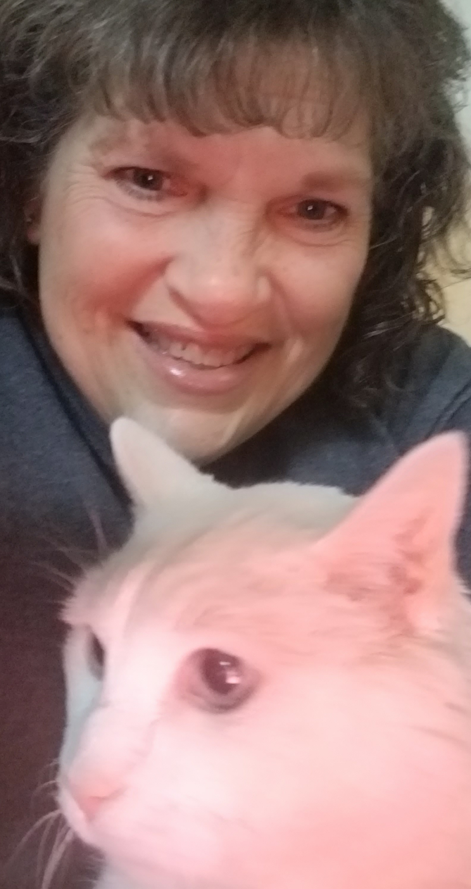 Paws Up Pet & Housesitting, LLC