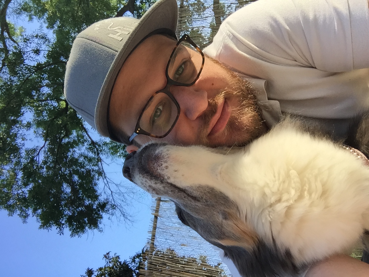 Blue Ridge Pet Sitters, LLC