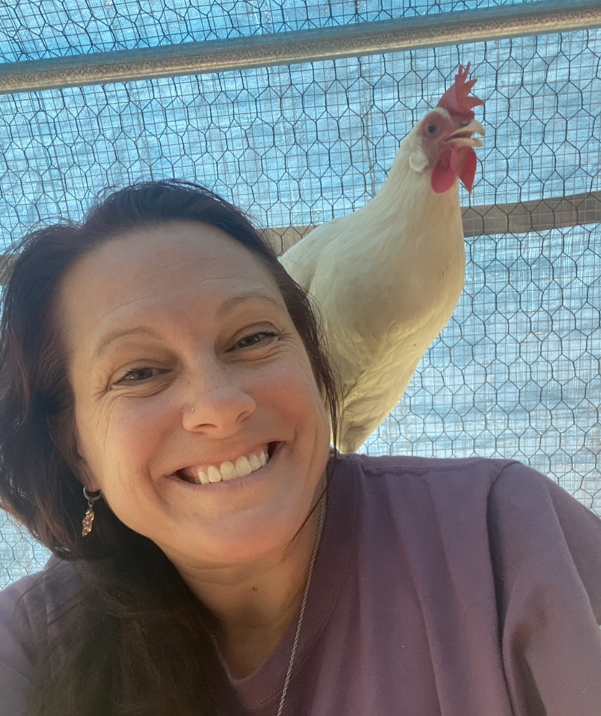 The Chicken Sitter LLC