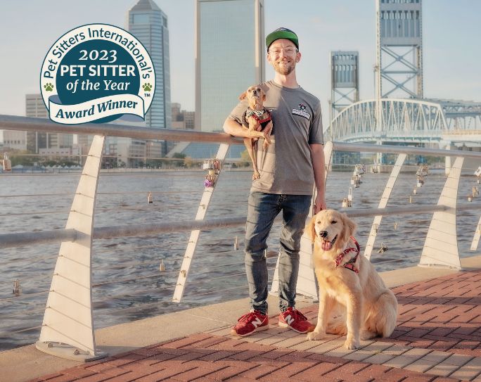 International top dog sitting