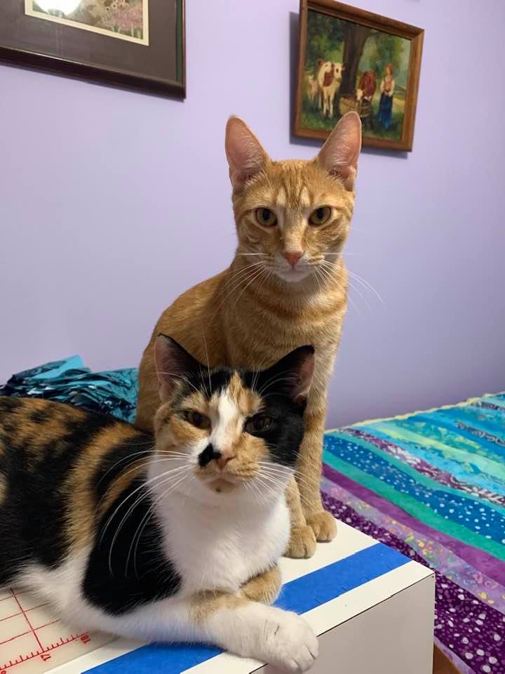 Purrs & Wags Pet Sitting, LLC