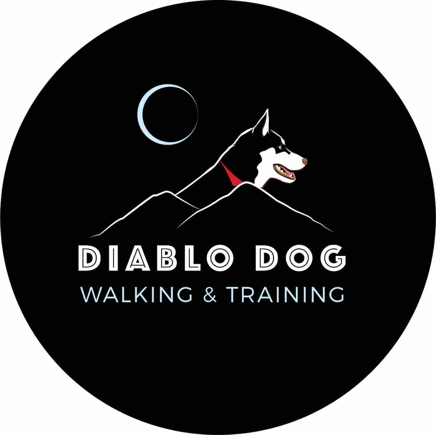 Diablo Dog Walking and Training