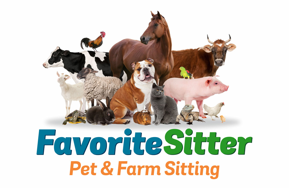 Favorite Sitter