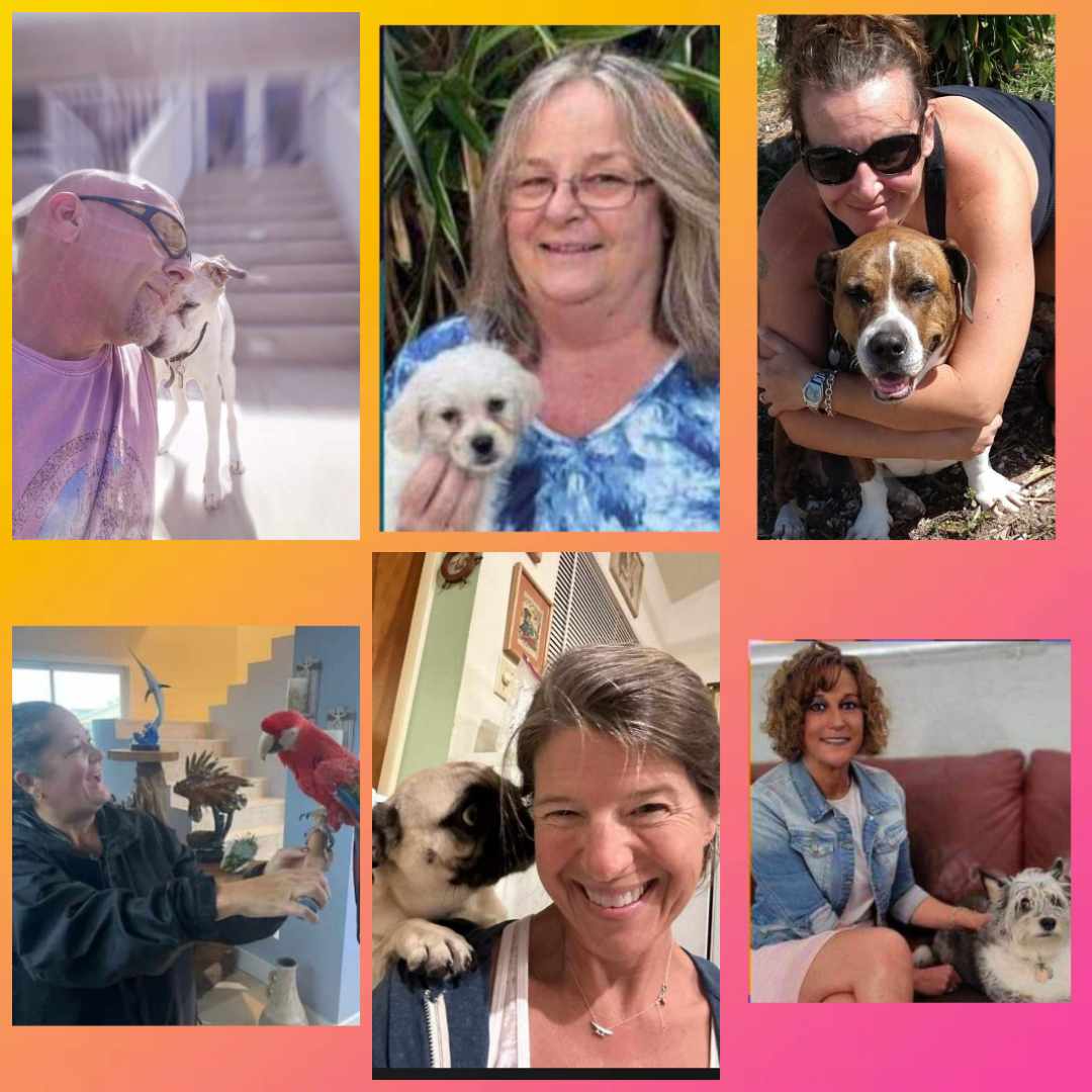 Key Largo Pet Sitter