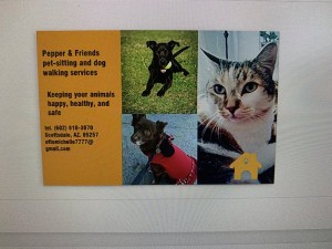 Special friends discount pet sitting service