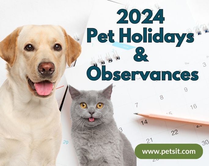 2024 pet holidays image with a calendar, dog and cat
