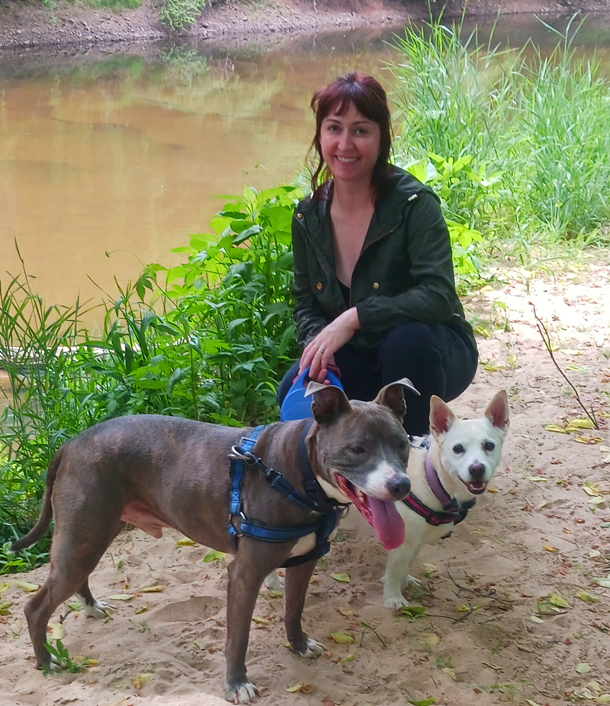 Cher Bear Pet Care, LLC