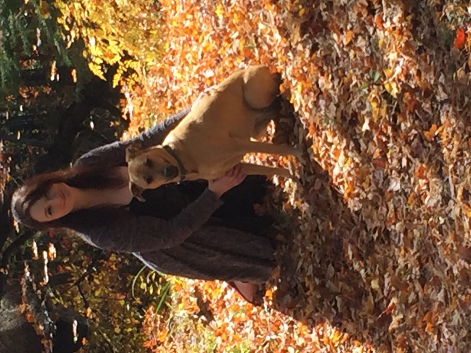 Dogs Day Out Adventures