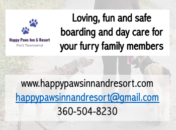 Happy paws inn sales
