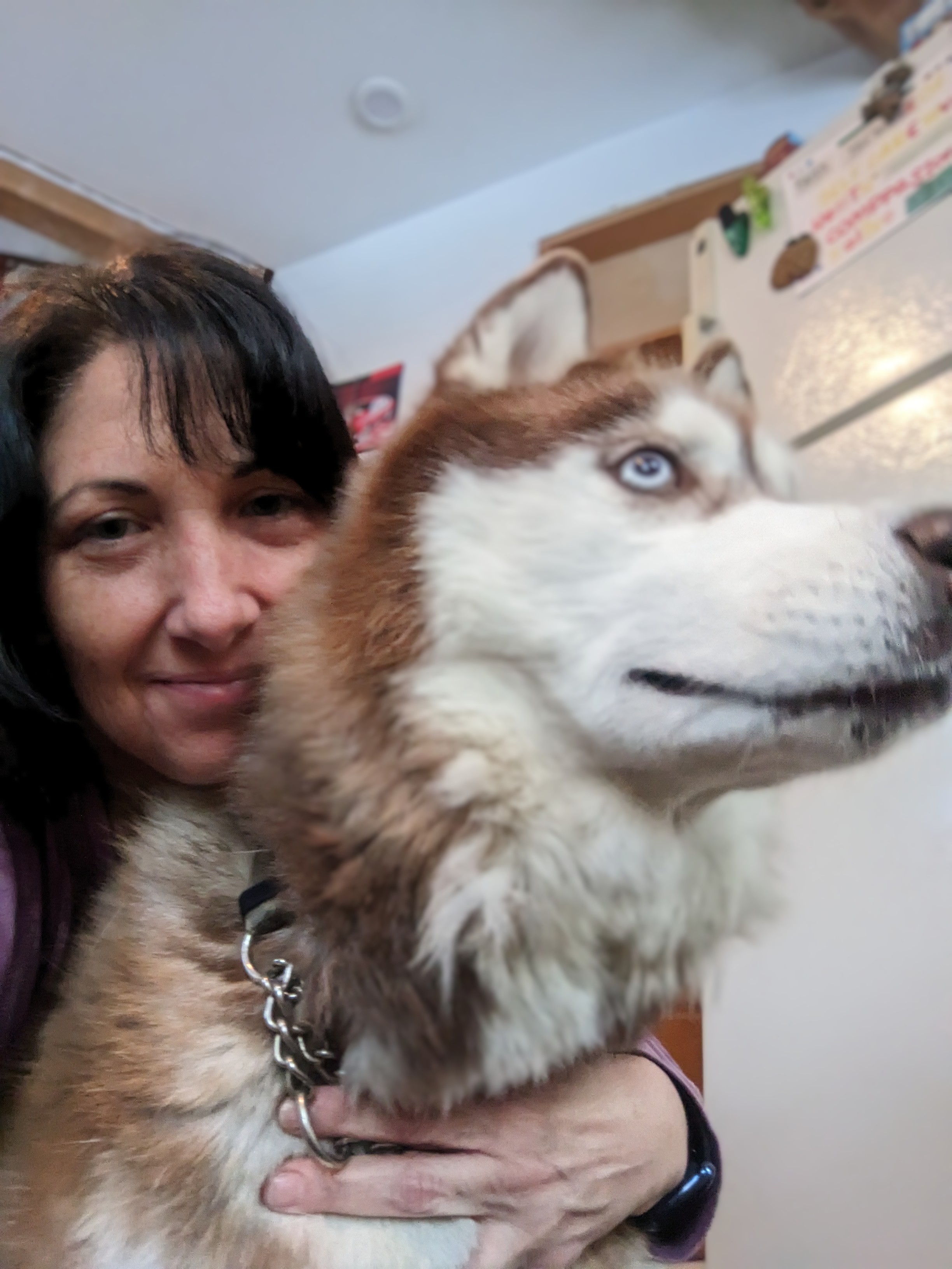 Andie's Pet Care, LLC