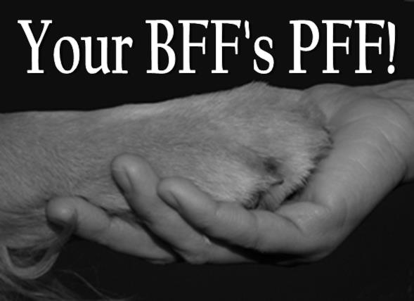 PFF Pet Care