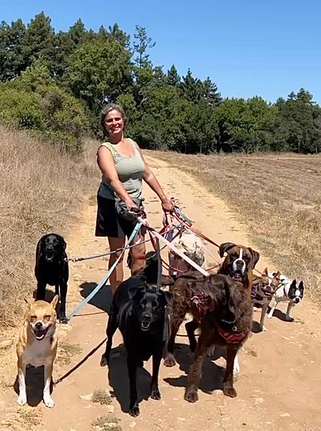 Thrive Pet Care Services