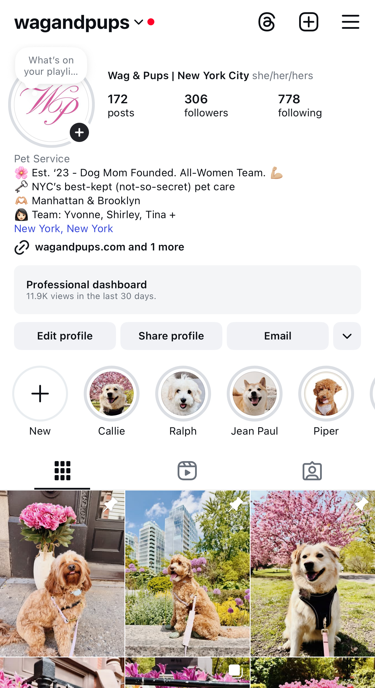 Wag & Pups