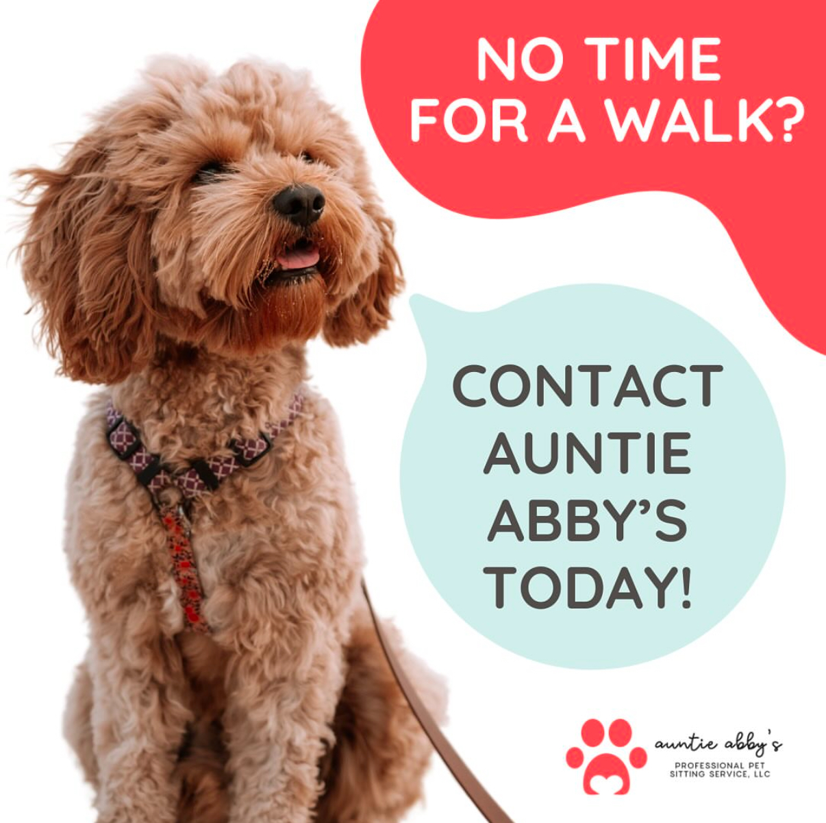 Auntie Abby's Professional Pet Sitting Service