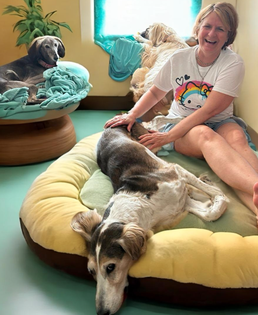 Conscious Paws Pets