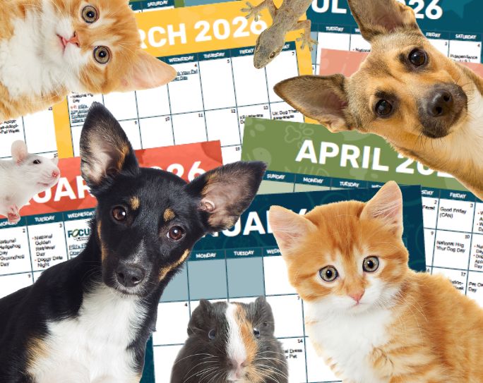 2026 Pet Holidays & Observances