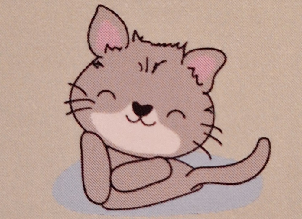 The Time Is Meow LLC