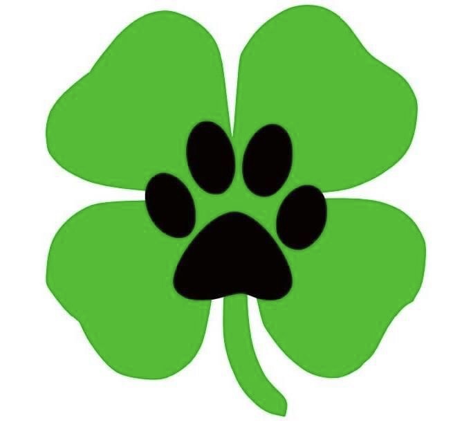 LUCKY PAWS & TAILS LLC