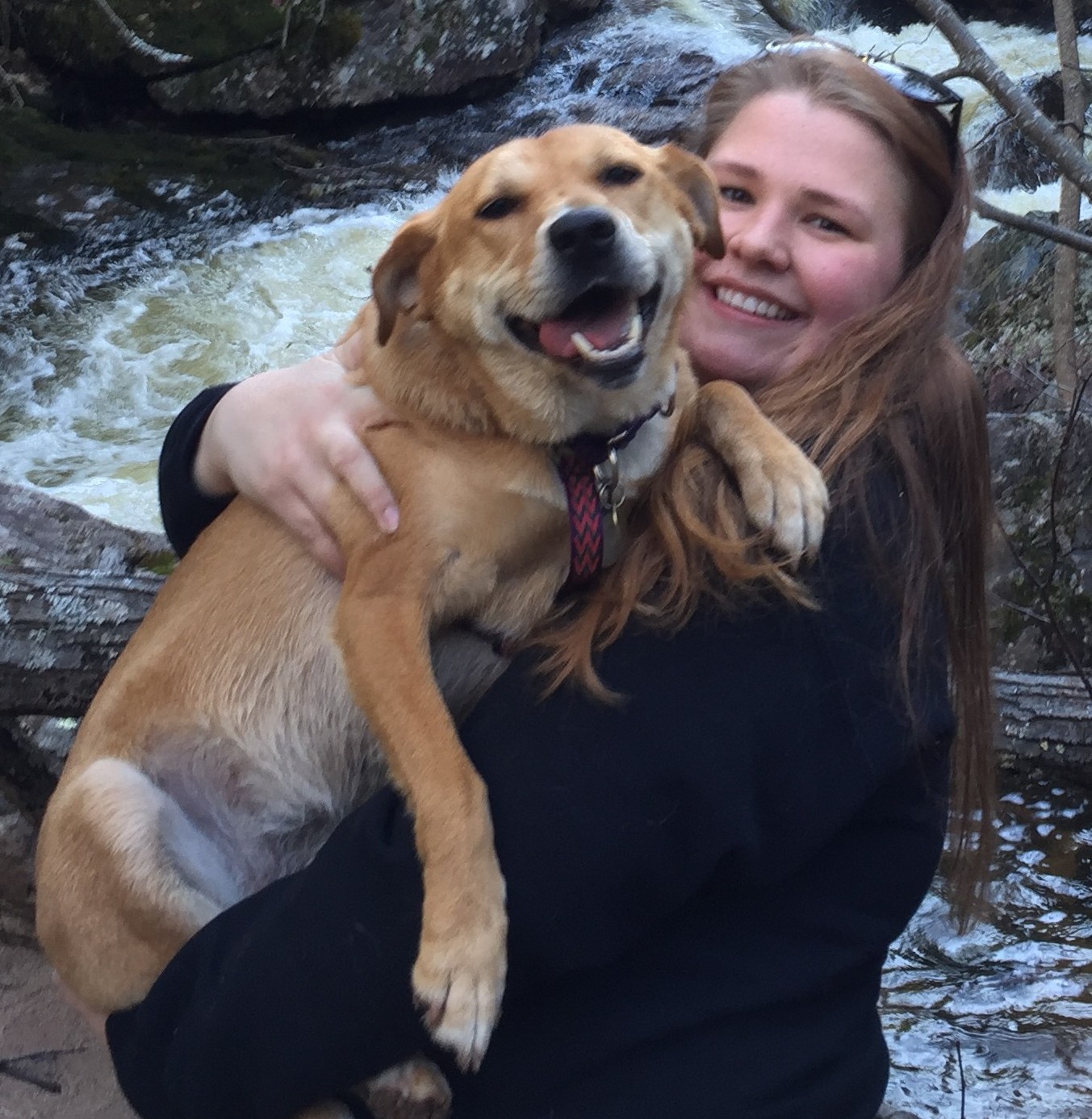 Pawsitive Presence Pet Care