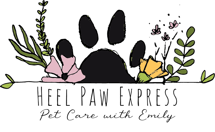 Heel Paw Express