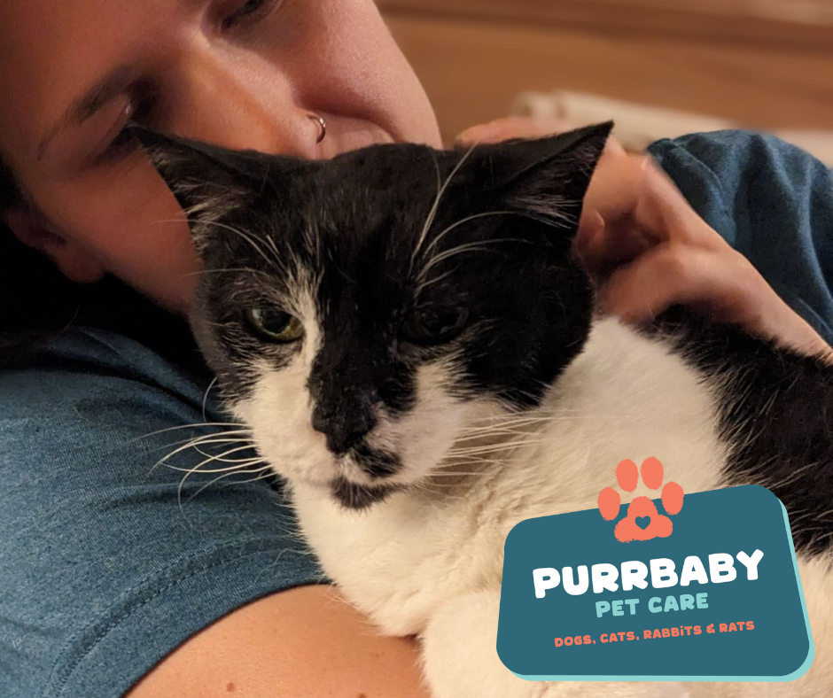 PurrBaby Pet Care
