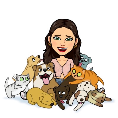 The Nomadic Housesitter